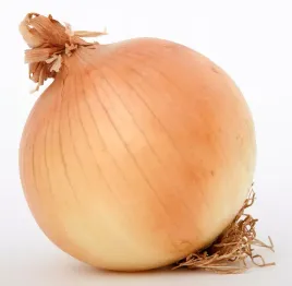 cebula-nasiona-cebuli-globo-pozna-bardzo-duze-cebule-gigant-salatkowa-2g