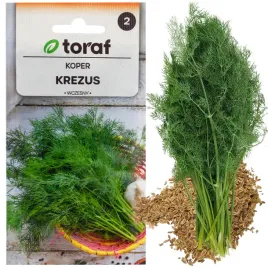 koper-nasiona-kopru-ogrodowy-krezus-wczesny-do-kiszenia-5g-aromatyczny