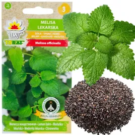 melisa-lekarska-nasiona-melisy-ziol-lecznicze-roslina-miododajna-05g-ziola