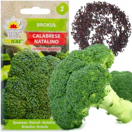 brokul-nasiona-brokula-plenny-zrodlo-witamin-latwa-uprawa-smaczny