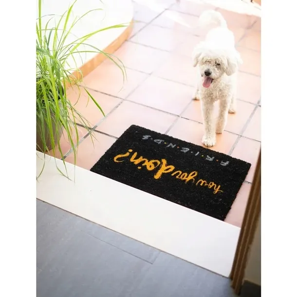 friends-wycieraczka-rodzaj-gotowa