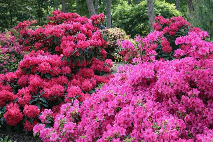 yara-mila-complex-25-kg-stan-nowy-producent-yara