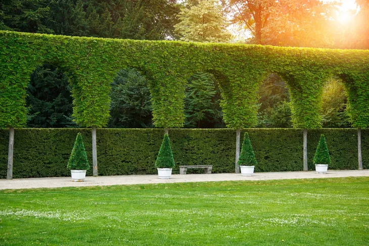 yara-mila-complex-15-kg-producent-yara