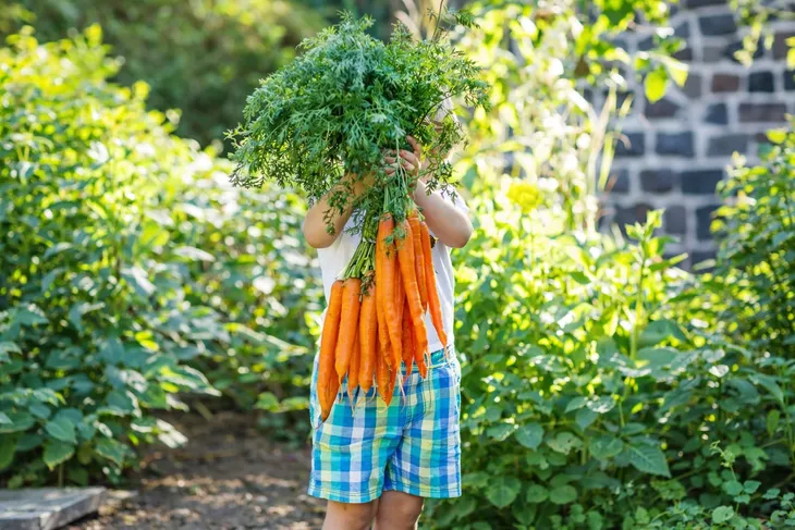 yara-mila-complex-15-kg-stan-nowy-producent-yara