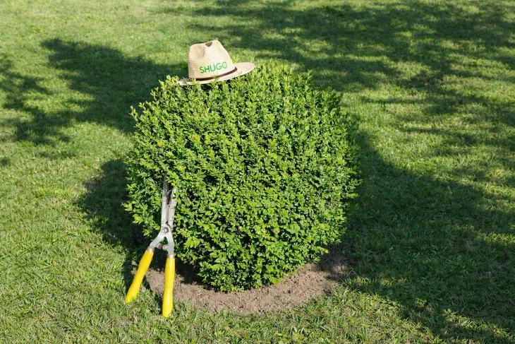 yara-mila-complex-10-kg-waga-z-opakowaniem-10-kg