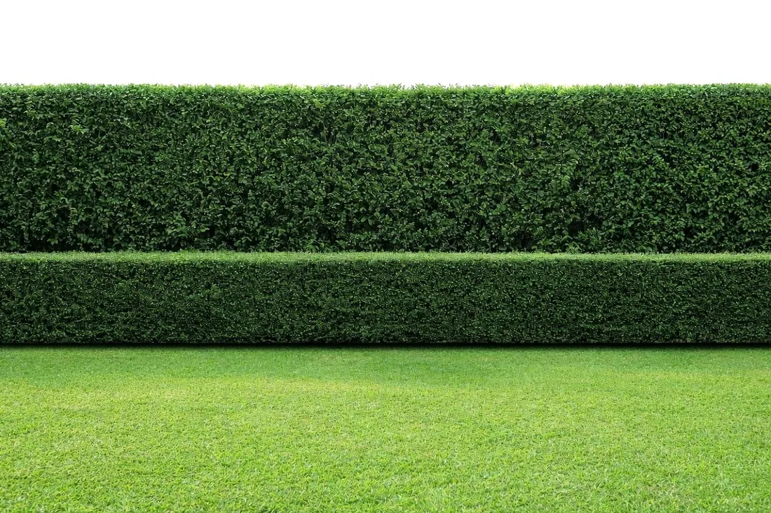 yara-mila-complex-3-kg