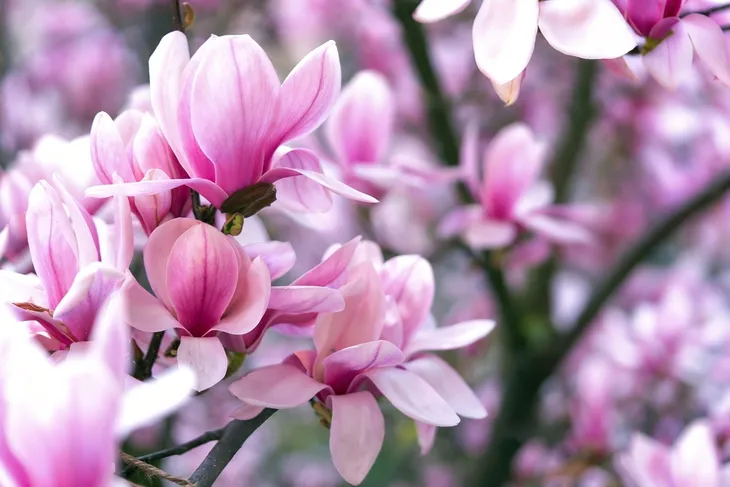 yara-mila-complex-3-kg-stan-nowy-forma-granulat