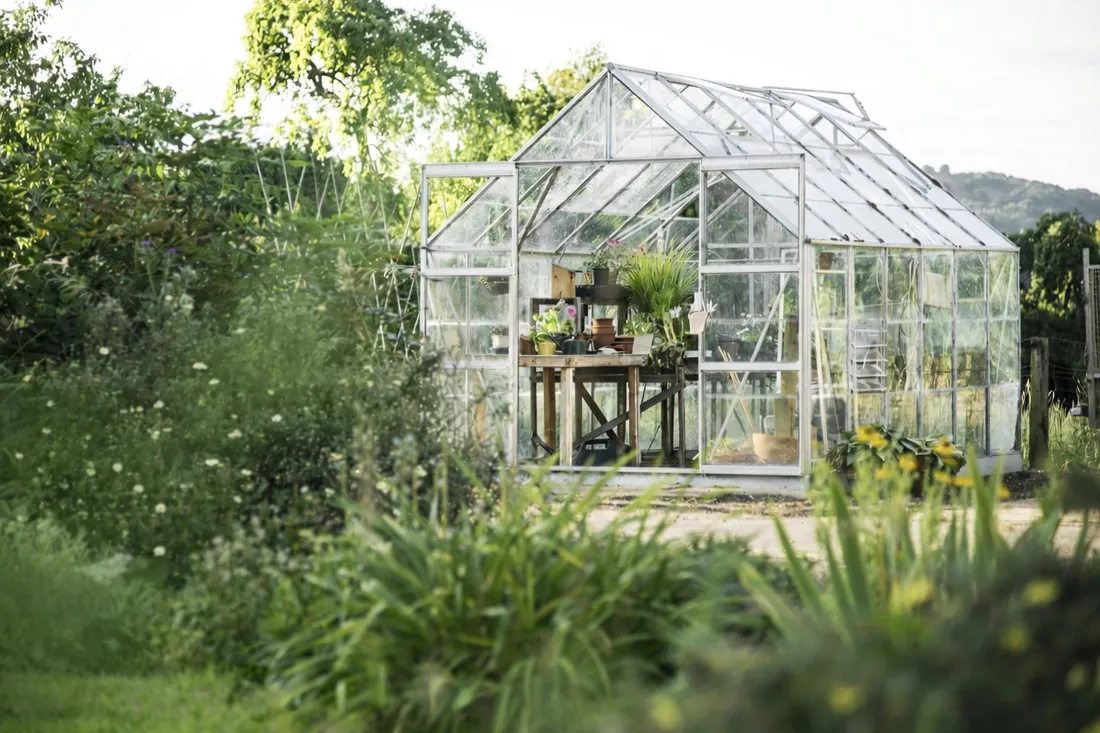 yara-mila-complex-1-kg