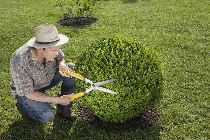 yara-mila-complex-1-kg-stan-nowy-waga-z-opakowaniem-1-kg