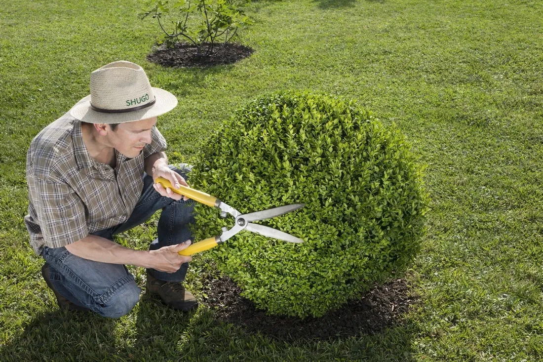 yara-mila-complex-1-kg