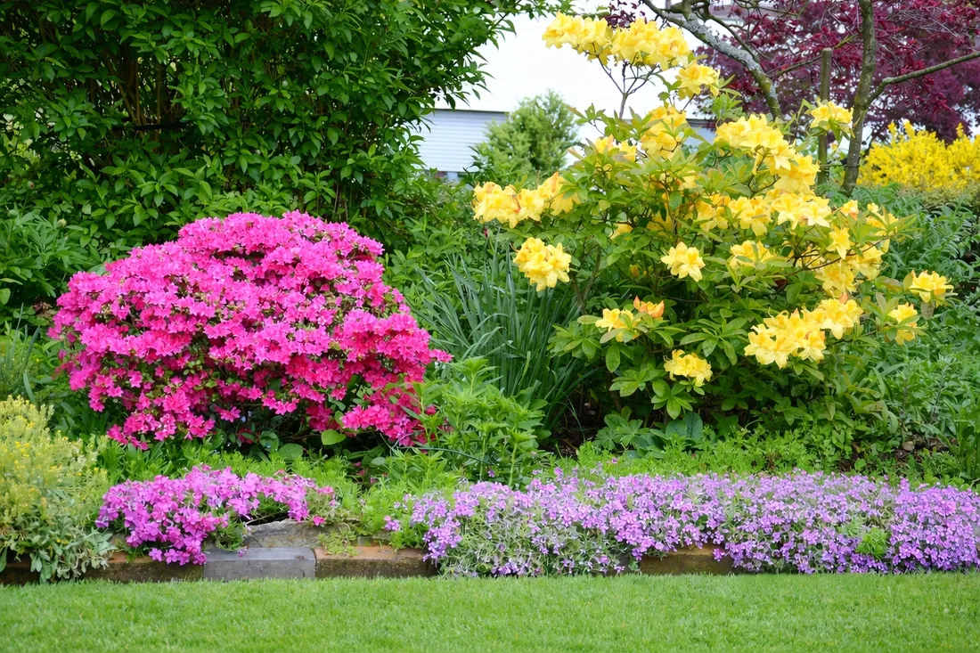 yara-mila-complex-1-kg-stan-nowy