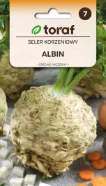 seler-korzeniowy-albin-nasiona-selera-zbior-jesienny-toraf-05g
