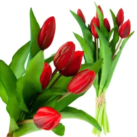 bukiet-tulipanow-gumowanych-silikonowych-tulipany-lux-czerwone-jak-zywe-x5