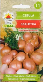 cebula-cebulka-szalotka-nasiona-cebuli-conservor-f1-plenna-wczesna-20szt