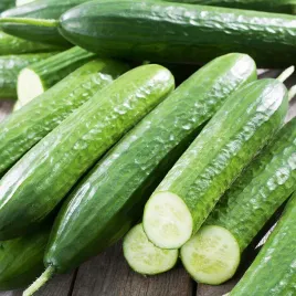 ogorek-delicius-5g-nasiona-ogorka-warzyw-do-sadzenia-salatkowa-odmiana