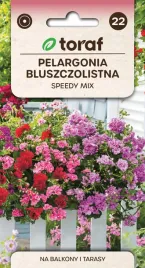 pelargonia-zwisajaca-speedy-mix-bluszczolistna-nasiona-pelargonii-10szt