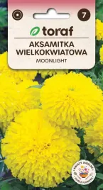 aksamitka-wielkokwiatowa-moonlight-nasiona-kwiatow-aksamitki-jadalne-kwiaty