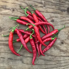 papryka-de-cayenne-ostra-typu-chilli-nasiona-papryki-papryczki-pikantna