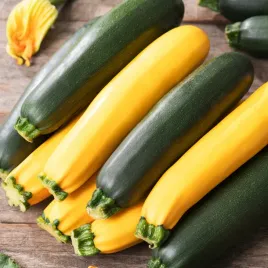 cukinia-mix-odmian-nasiona-dynia-kabaczek-cukini-plenna-kwiaty-ozdobne