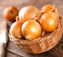 cebula-wolska-nasiona-cebuli-odmiana-pozna-plenna-odporna-bialy-miazsz-5g