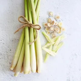 trawa-cytrynowa-lemongrass-nasiona-ziol-ziola-wlasciwosci-zdrowotne-01g