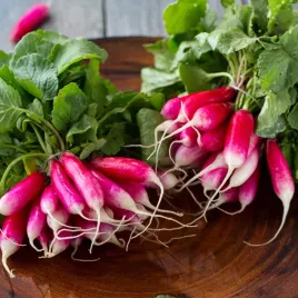 rzodkiewka-18-dniowa-wczesna-smaczna-szybko-rosnie-5g-nasiona-warzyw