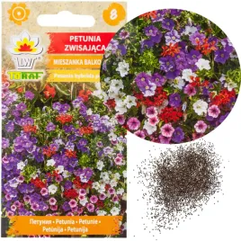 petunia-zwisajaca-mix-balkonowy-03g-nasiona-mieszanka-petunii-taras-rabata