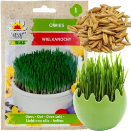 owies-wielkanocny-nasiona-ozdoba-dekoracja-na-stol-wielkanocny-30g