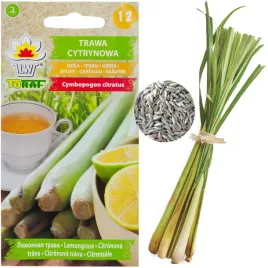 trawa-cytrynowa-nasiona-ziol-ziola-lemongrass-wlasciwosci-zdrowotne-01g