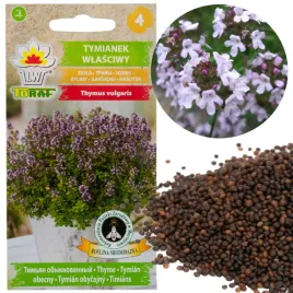 tymianek-wlasciwy-nasiona-tymianku-ziol-ziola-przyprawy-aromatyczny-03g