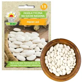 fasola-tyczna-piekny-jas-nasiona-na-suche-ziarna-fasoli-duze-nasiona-25g