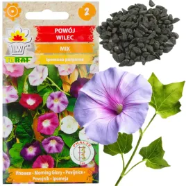 powoj-wilec-mieszanka-mix-3g-nasiona-kwiatow-kwiaty-powoju-rozne-kolory