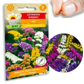 zatrwian-wrebny-mix-unikatowych-kolorow-nasiona-kwiatow-do-bukietow-05g