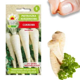 pietruszka-korzeniowa-nasiona-pietruszki-cukrowa-wczesna-warzyw-5g