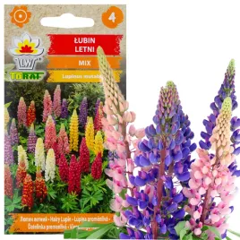 lubin-letni-1g-nasiona-mieszanka-mix-kolorow-kwiaty-lubinu-gesty-na-rabaty