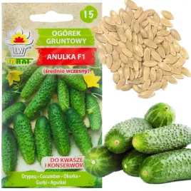 ogorek-anulka-f1-nasiona-ogorka-5g-warzyw-wczesna-odmiana-ogorki-korniszony