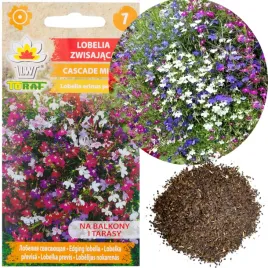 lobelia-zwisajaca-mix-01g-nasiona-kwiatow-lobelii-mieszanka-taras-rabaty