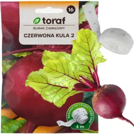 burak-cwiklowy-na-tasmie-czerwona-kula-tasma-nasienna-nasiona-buraka-6m