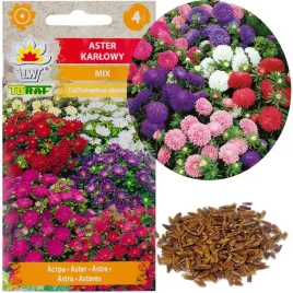 aster-karlowy-mix-1g-nasiona-mieszanka-nasion-kolorow-astra-na-rabaty