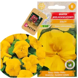 bratek-wielkokwiatowy-zolty-nasiona-02g-kwiaty