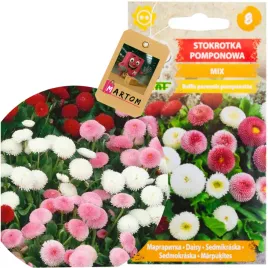 stokrotka-pomponowa-mix-nasiona-01g-kolor-kwiaty