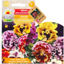 bratek-wielkokwiatowy-rokoko-02g-kwiaty-toraf