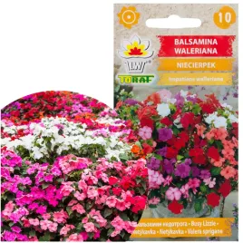 balsamina-niecierpek-waleriana-01-nasiona-kwiaty-kolor