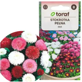stokrotka-pelna-mix-nasiona-02g-kwiaty-kolor