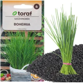 szczypiorek-bohemia-2g-nasiona-szczypiorku-szybko-rosnie-wieloletni