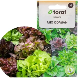 salata-mix-odmian-nasiona-salat-mieszanka-krucha-maslowa-1g