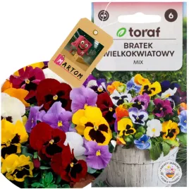 bratek-wielkokwiatowy-mix-02g-nasiona