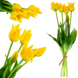 bukiet-tulipanow-tulipany-tulipan-bukiet-papuzie-gumowane-5szt-jak-zywe