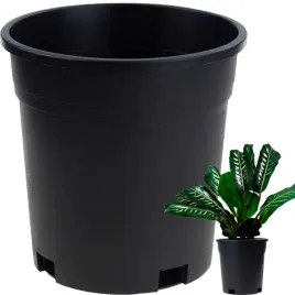 doniczka-produkcyjna-wysoka-okragla-rozsadowa-z-rantem-140x140mm-sadzonek