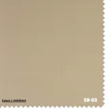 roleta-scienna-termoizolacja-100percent-wymiar-140x260-typ-montazu-inwazyjny